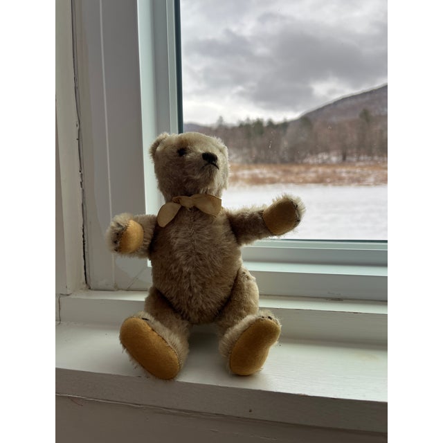 Small Steiff Bear Antique For Sale In New York - Image 6 of 11