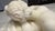 Italian School Artist, Nude Sculpture of Hermaphroditus, 19th Century, White Carrara Marble For Sale - Image 5 of 18