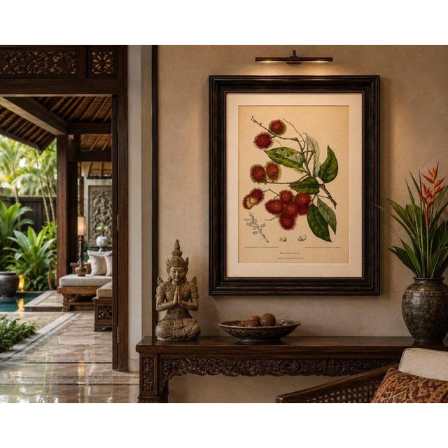 Red Berthe Hoola van Nooten, Rambutan, 1880, Chromolithograph For Sale - Image 8 of 9