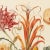 13" X 9" 'Garden Flowers' Botanical Print, 'Hortus Floridus' Style, Unframed For Sale - Image 6 of 7