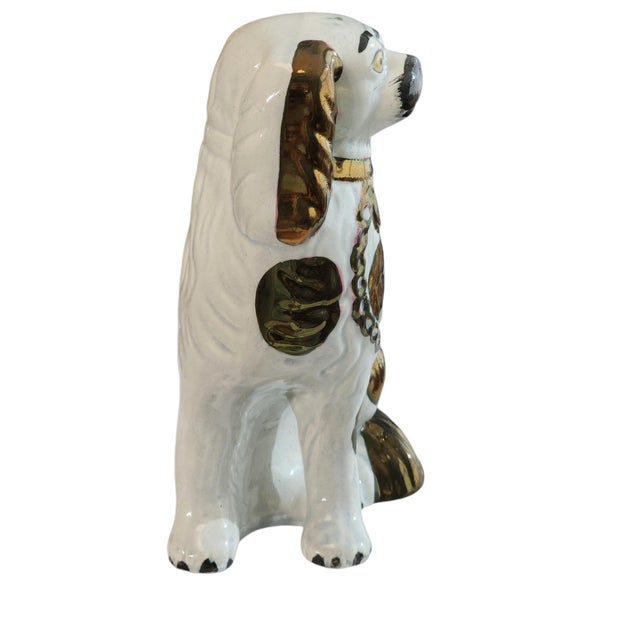 Lovely mid to late 1800s gold lustre Staffordshire spaniel in excellent condition. Bright gold throughout, blush...