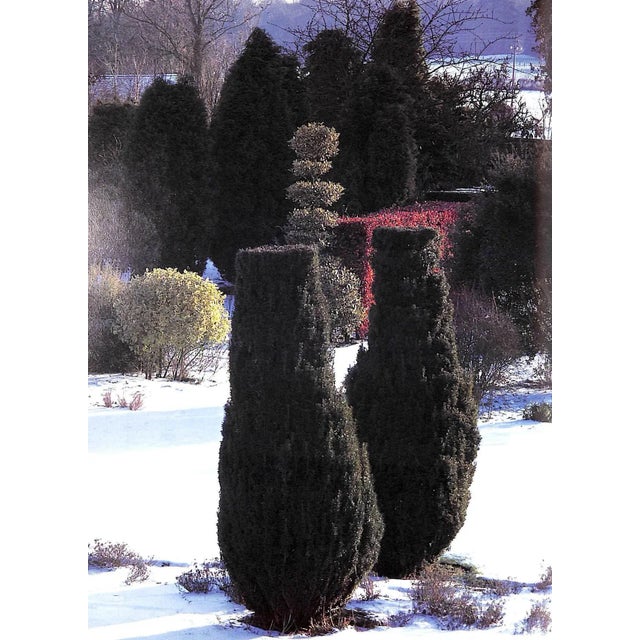 Traditional "Topiary: The Art of Clipping Trees and Ornamental Hedges" 1988 Clevely, a.m. For Sale - Image 3 of 8
