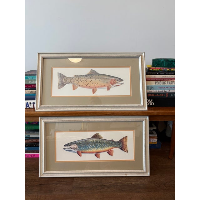 This listing includes two (2) pieces). A handsome matched pair of freshwater fish prints depicting a cutthroat trout and...