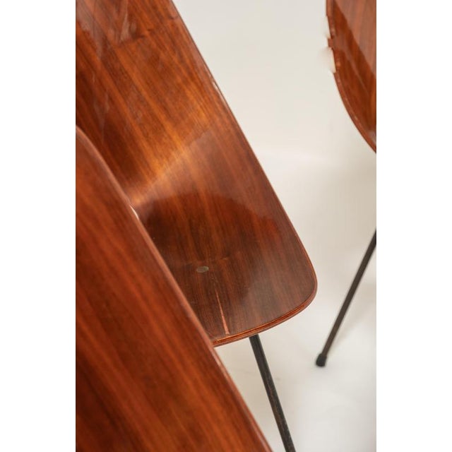 Medea Chairs by Vittorio Nobili, Italy, 1955, Set of 6 For Sale - Image 10 of 17