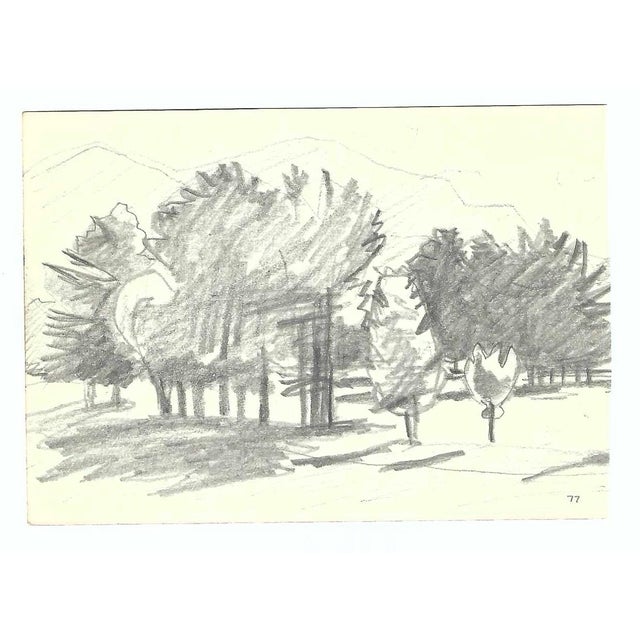 Drawing on paper by Robert Henry Angeloch (1922-2011). Dated lower right 1977 and estate stamp on the back. Bob Angeloch...