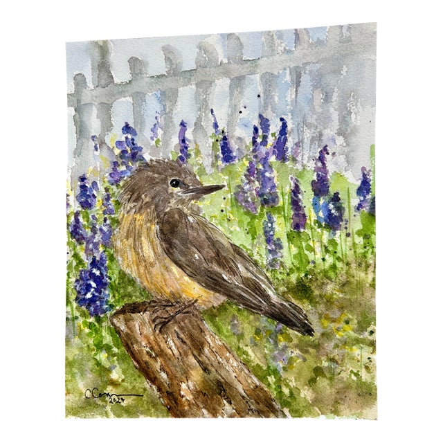 Watercolor Original Painting on Paper of “Little Desert Bird.” For Sale