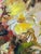 Yellow Mid-Century Modern Floral Abstract Acrylic on Board For Sale - Image 8 of 18