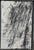 Christoph M. Gais, Triptych, 1988, Oil Painting on Canvas, Framed, Set of 3 For Sale - Image 4 of 13