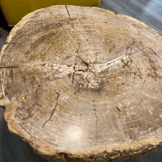 1990s Petrified Wood Coffee Table For Sale - Image 4 of 12