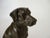 Dan Ostermiller, Bronze Dog, Lab, Labrador Sitting Statue, Wooden Bace Artist Signed: 1995, 2/20 For Sale - Image 15 of 18