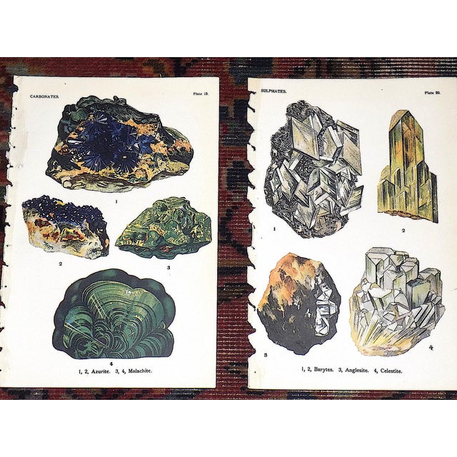 1910s Antique 1916 Mineral Lithographs - Set of 12 For Sale - Image 5 of 8