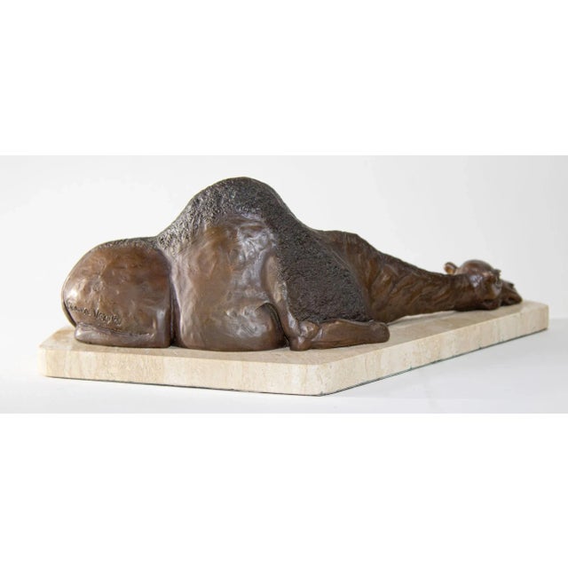 Brown Bronze Resting Camel Sculpture on Marble Stand French School For Sale - Image 8 of 13