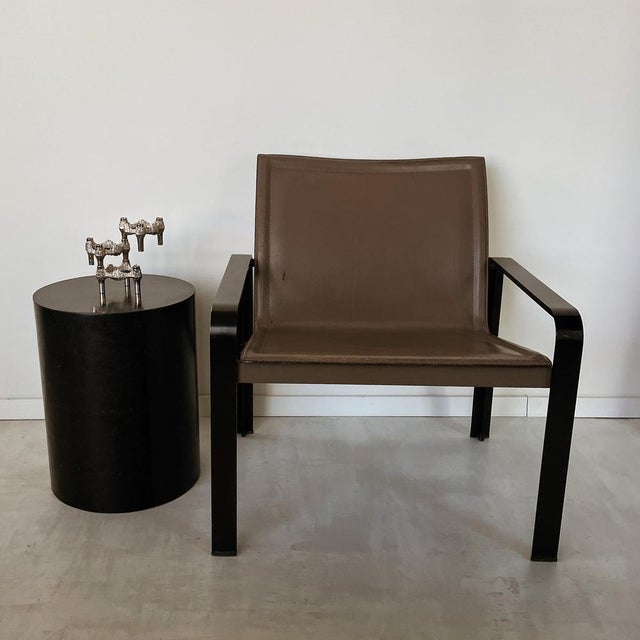 Lounge Chairs by Golfo Dei Poeti for Matteo Grassi For Sale - Image 6 of 8