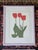 Early 21st Century Henry Evans Botanical Linocut Prints Framed- Set of 4 For Sale - Image 5 of 17
