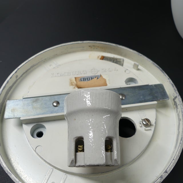 Flower Ceiling or Wall Lamp from Glashütte Limburg, 1970s For Sale - Image 5 of 10