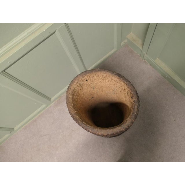 Quirky Stick Stand from Hollow Tree Trunk, Palm Tree Fern This is a very old piece, it had been made by hollowing out a...