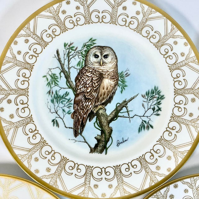 1980 Vintage Arts & Crafts English Bone China Owl Dinner Plates -Set of 8. For Sale - Image 17 of 18