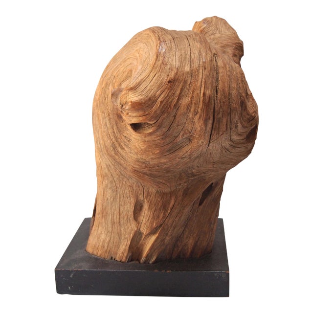 Mid-Century Wood Specimen For Sale