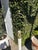 Vintage White Wicker Floor Lamp With Dome Shade For Sale - Image 12 of 14