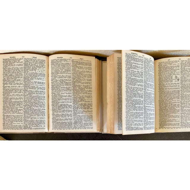 Practical and good-looking set of books