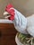 Farmhouse Vintage Hen Chicken - Hand-Painted Bisque Porcelain Statue From Andrea by Sadek For Sale - Image 3 of 12