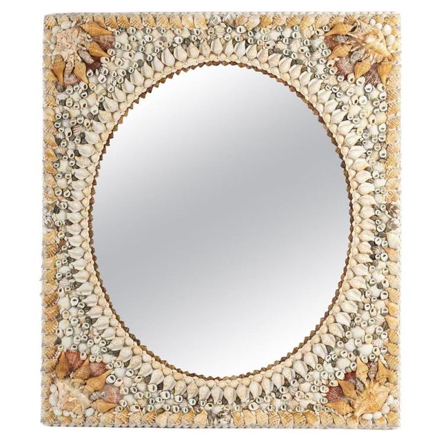 20th Century Shell Mirror For Sale - Image 9 of 9