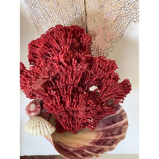 Gorgeous Pair of Sea Marine Assemblage on 19 Th C Brass Stands For Sale - Image 4 of 10