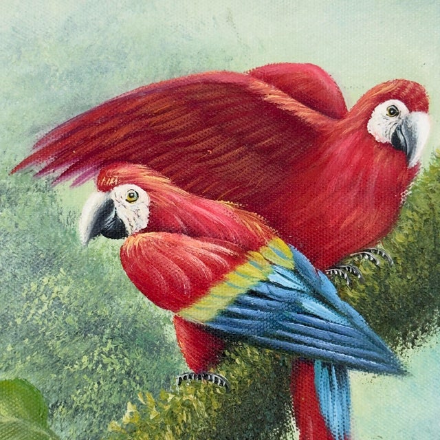 Tropical Scarlet Macaw Parrot Painting on Canvas - Signed For Sale - Image 4 of 12