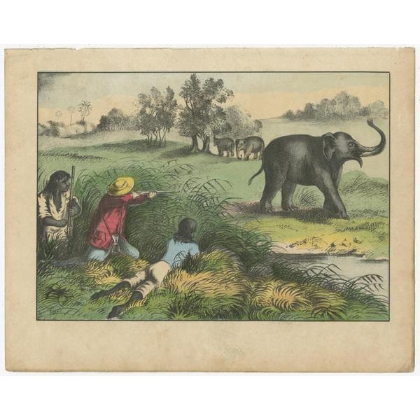 Animals and Hunting Scenes, 1880, Paper, Set of 8 For Sale - Image 5 of 10