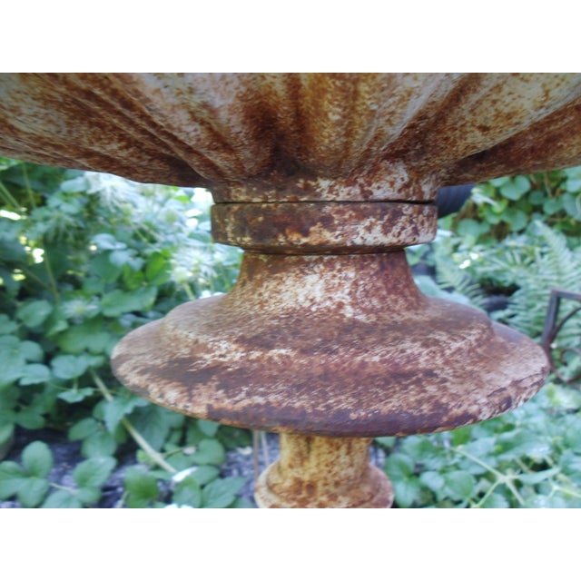 Cast Iron Birdbath, 1990s For Sale - Image 6 of 17