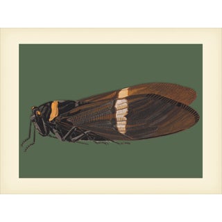 Bugs by Seguy #4 Reproduction For Sale