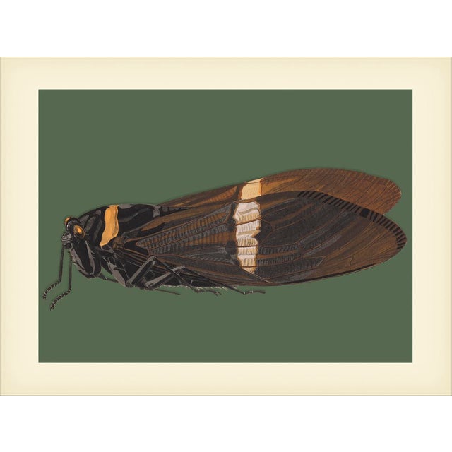 Bugs by Seguy #4 Reproduction For Sale