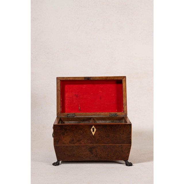 Regency Burl Yew Tea Caddy (C. 1820) For Sale - Image 10 of 10
