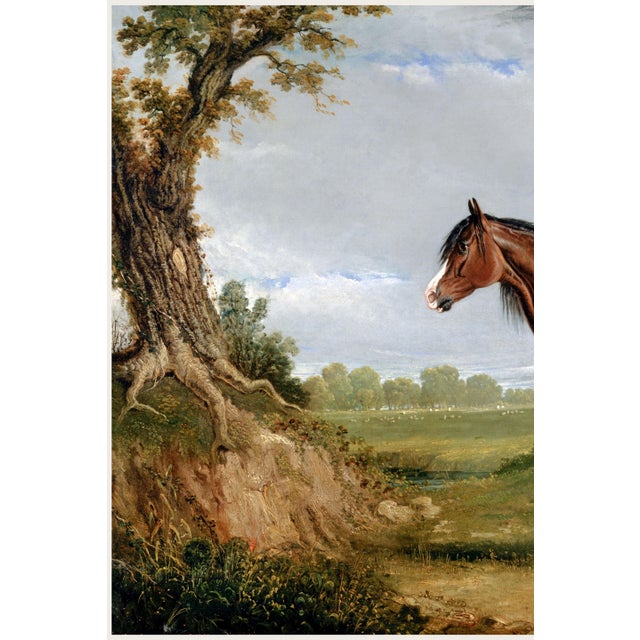 Not Yet Made - Made To Order 1820 Vintage Clydesdale Horse Art Print by John Frederick Herring - 36" X 24" For Sale - Image 5 of 8