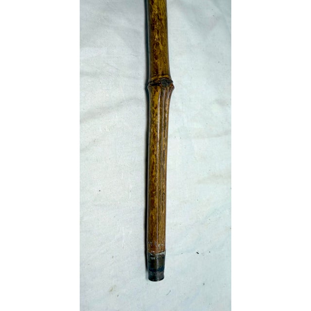 Antique 19th Century Hand Carved Folk Art Bull Dog Walking Stick Cane Sculpture For Sale - Image 9 of 10
