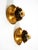 Gilt Water Lily Wall Lamps from Banci Firenze, Italy, 1960s, Set of 2 For Sale - Image 10 of 15