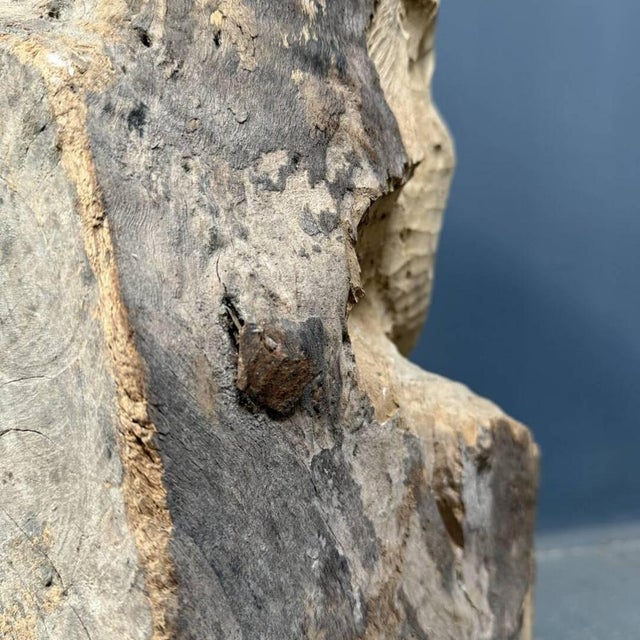 Large Bust in Carved Wood, 1950s For Sale - Image 10 of 18