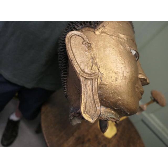 Brown Burmese Buddha Head in Gilt Dry Lacquer For Sale - Image 8 of 9