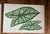 Authentic 19th century Set of 7 Color Botanical Plant Prints on Paper. These are Unframed Illustrations and the Dimensions...