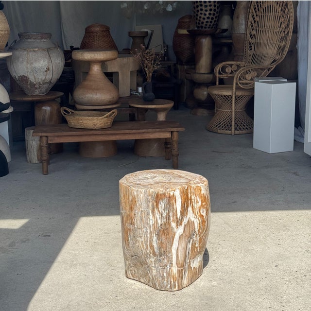 Contemporary Large Side Table in White and Grey Petrified Wood For Sale - Image 3 of 18
