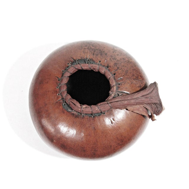 Handmade Southwestern Gourd Bowl With Pine-Needle Rim, Signed “Mac” 1998 – 7″ X 5″ For Sale In Austin - Image 6 of 8