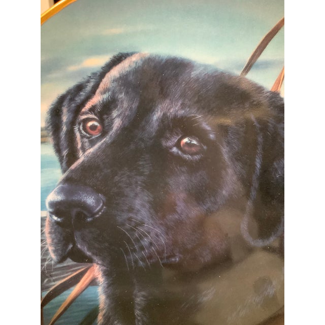 Fine Porcelain Franklin Mint Labrador Plate – Limited Edition Art Plate for Ralph Lauren Club Room, Boy’s Room, Hunting Theme- See Pics! For Sale - Image 4 of 5