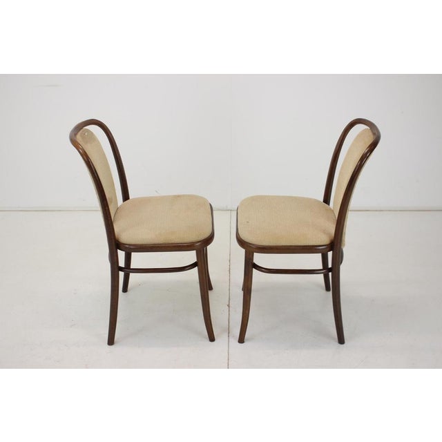 TON bentwood chair ② TON bentwood chair, Black | Manufactum