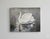 Swan Cruising Acrylic on Canvas Painting from Kanayo Ede Fine Art Studio in metro Atlanta. Canvas is 30in x 40in Gallery...