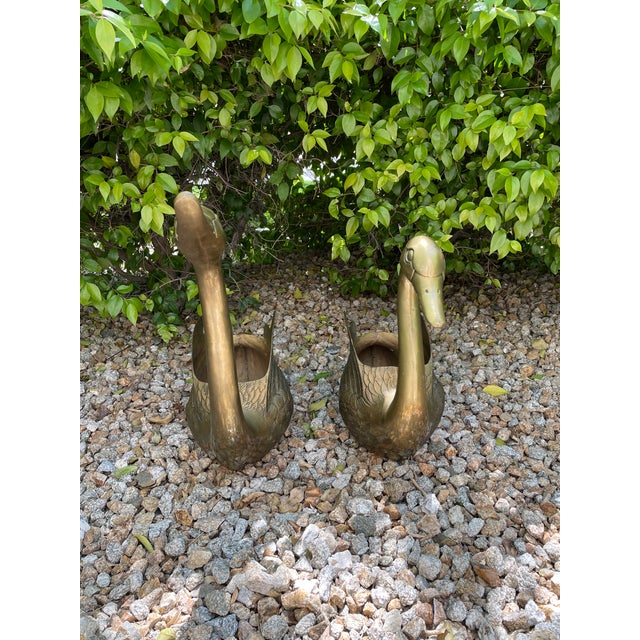 Mid 20th Century Mid Century Jumbo Brass Swan Sculptural Planters - a Pair For Sale - Image 5 of 12