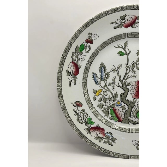 Ridgway Porcelain 1940s Ridgway “Indian Tree” China Plate For Sale - Image 4 of 11