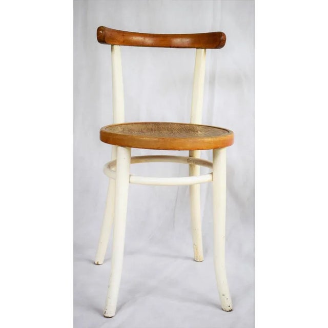 Espresso of the Werkbund Exhibition Armchair by Felix Augfeld & Karl Hoffmann, 1930s For Sale - Image 11 of 13