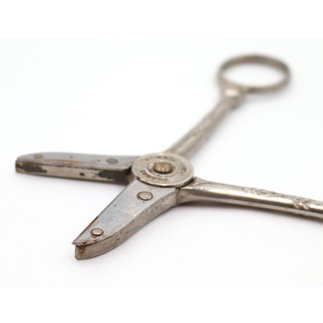 Metal 1950s Clauss Cutlery Garden Club Silver Plated Shears For Sale - Image 7 of 7