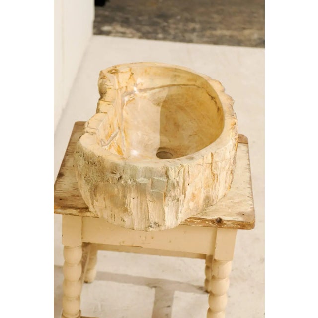 Wood Organic Modern Petrified Wood Sink For Sale - Image 7 of 8