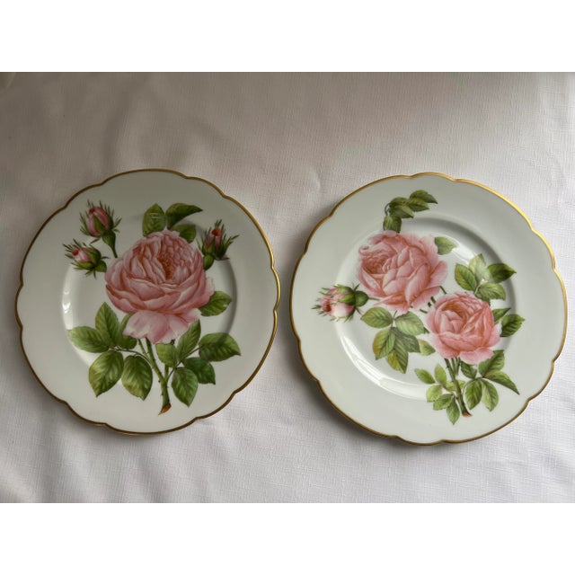Pink Vintage Mid 20th Century Hand Painted Pink Cottage Roses Porcelain Plates - a Pair For Sale - Image 8 of 8